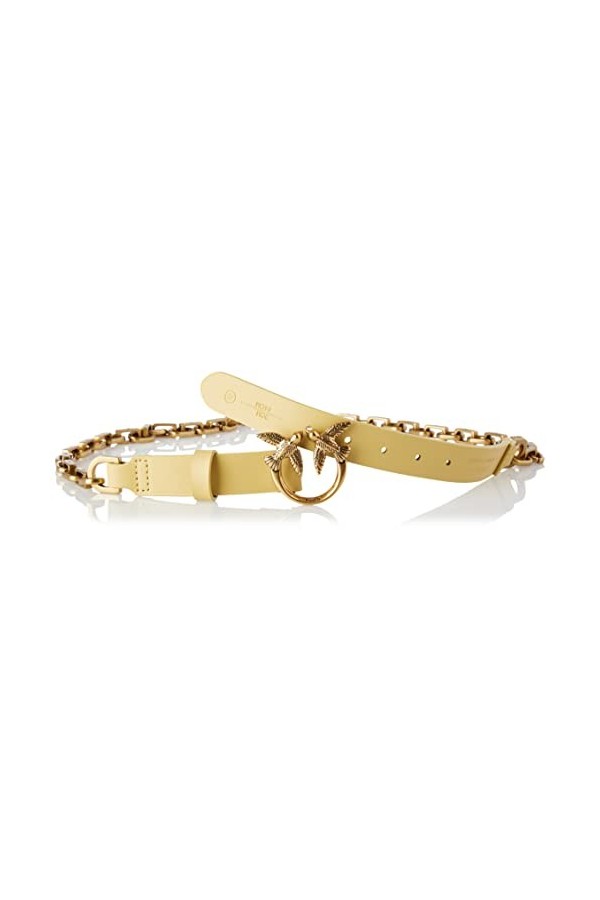 Pinko Love Day Chain Belt Simply H2 Ceinture, C38q_Banane-Antique Gold, M Femme