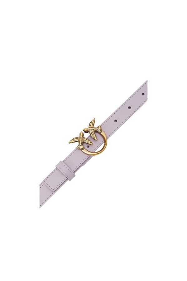 Pinko Love Berry H2 Ensemble Ceinture Mollet, Y13q_Iris-Or Antique, XS Femme