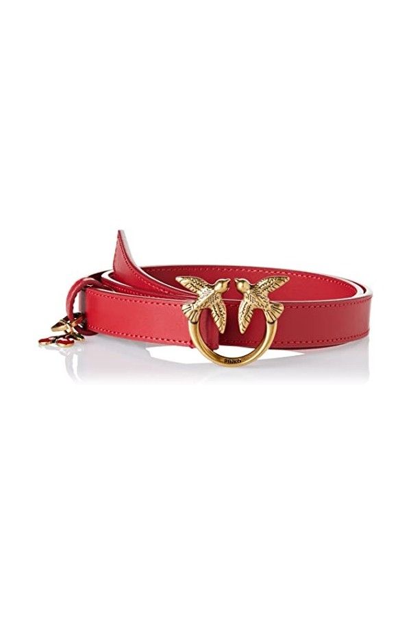 Pinko Love Berry H2 Belt Vitello Set Ceinture, R41q_Rouge Grenat-Antique Gold, XS Femme