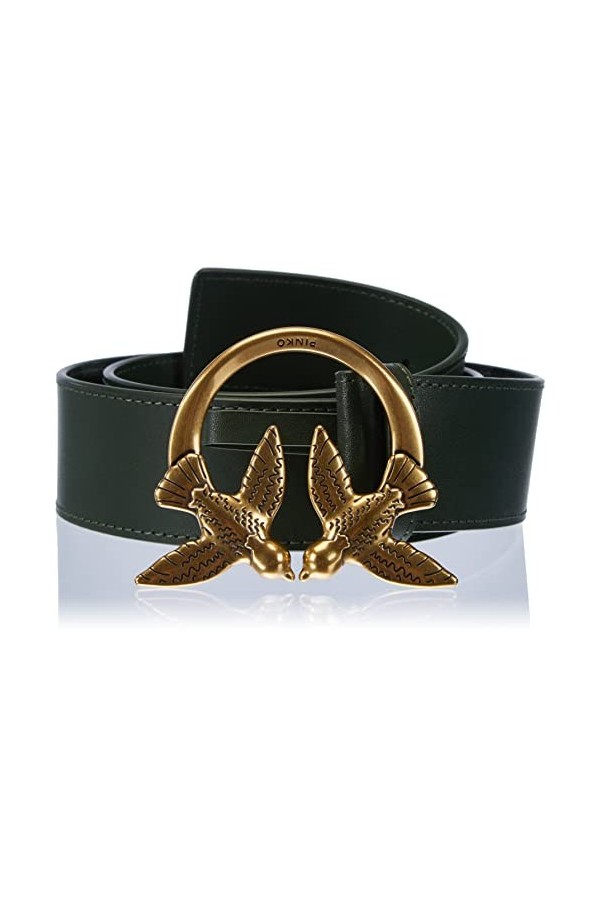 Pinko Love Berry Simply H4 Belt Vis Ceinture, X67q_Vert Pastura-Antique Gold, XS Femme