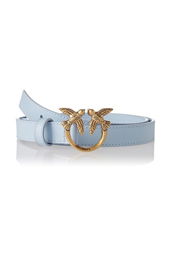Pinko Love Berry Simply Belt H2 VIT. Ceinture, E57q_Light Blue-Antique Gold, XS Femme