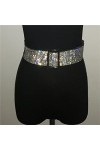 EYHLKM Strass Brillant 110 Cm Ceinture Taille Réglable Largeur Femmes Ceinture Haute Rue Nuit Accessoires De Fête