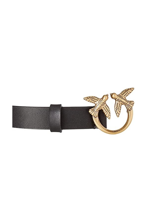 Pinko Love Day Chain H2 Belt Vitello Ceinture, Z99Q_Nero-Antique Gold, S Femme