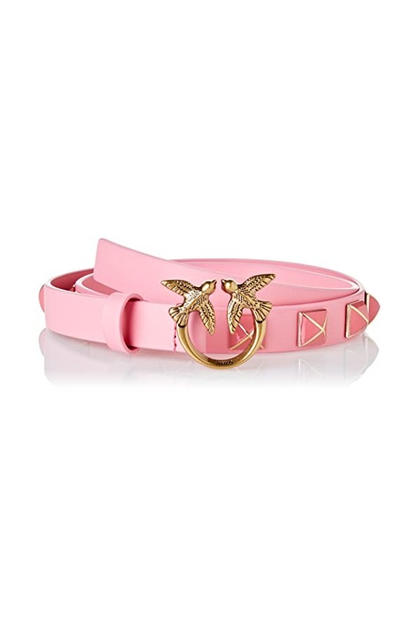 Pinko Love Berry H2 Belt Vitello Set Ceinture, P31q_Rose Marine-Antique Gold, L Femme