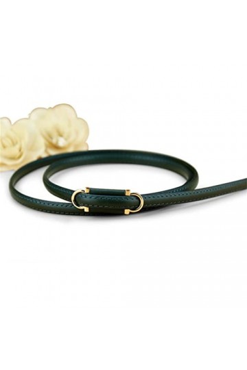 LEPSJGC Ceinture de la décoration Verte des Femmes avec Une Ceinture Mince Souple de Taille Jupe Color : Green, Size : 109cm