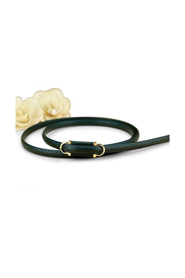 LEPSJGC Ceinture de la décoration Verte des Femmes avec Une Ceinture Mince Souple de Taille Jupe Color : Green, Size : 109cm