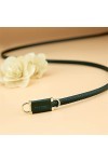 LEPSJGC Ceinture de la décoration Verte des Femmes avec Une Ceinture Mince Souple de Taille Jupe Color : Green, Size : 109cm