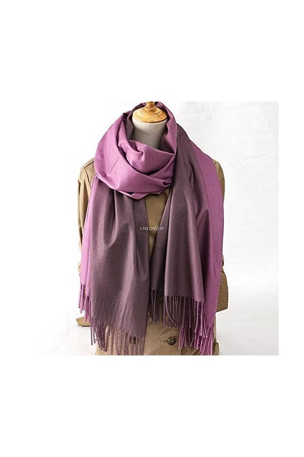 LIVLOKO Écharpe pashmina pour femme en laine cachemire, Couleur 5., taille unique