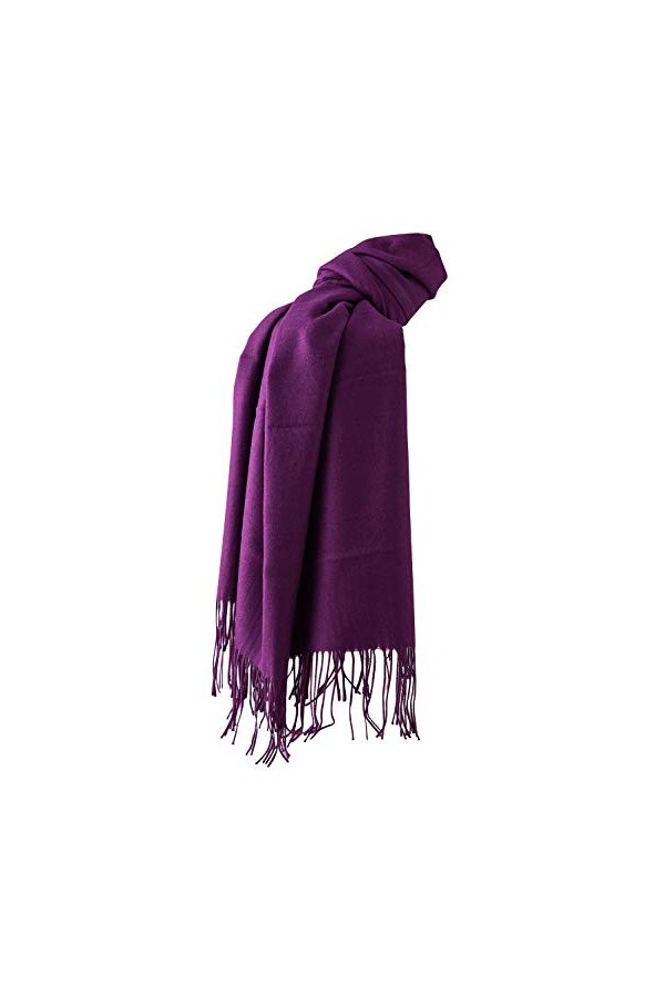 Dolamen Unisex Femme Echarpe Foulards avec des glands, Femme Léger et doux luxueux Vintage Hiver La Châles Etoles écharpe pou
