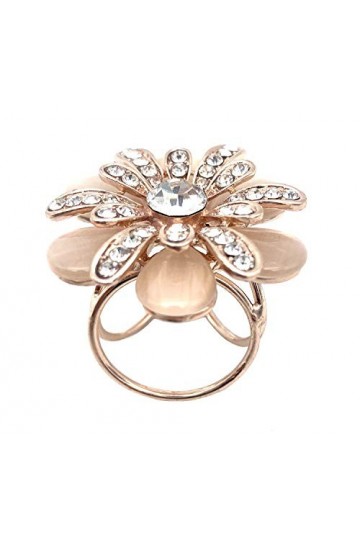 CAREOR Métal commun