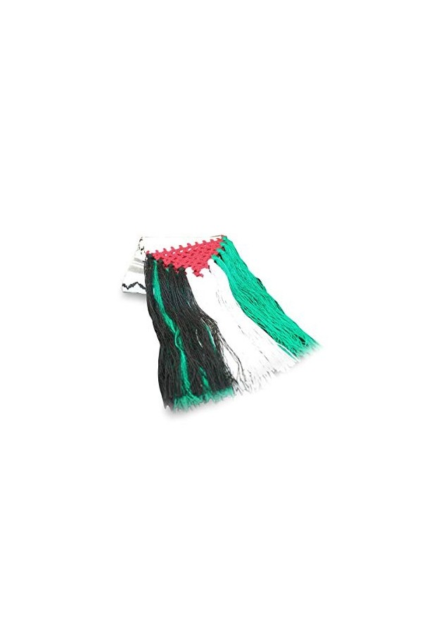 Écharpe drapeau de la Palestine Kufiya