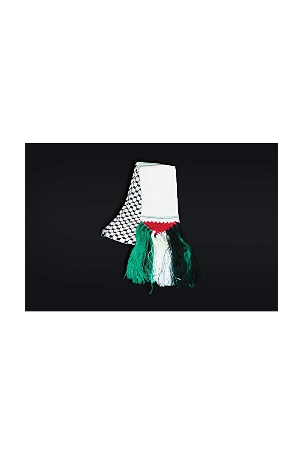 Écharpe drapeau de la Palestine Kufiya