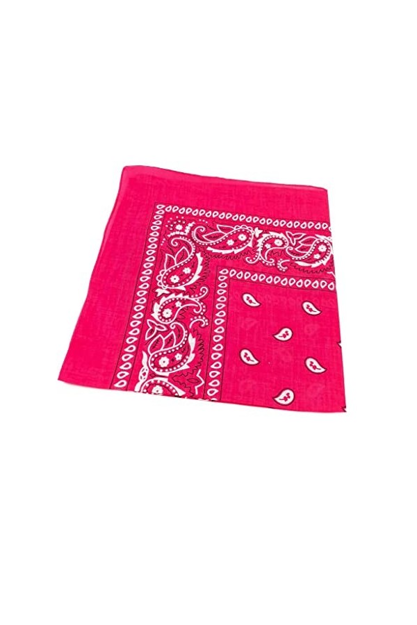 Bandana en coton à motif cachemire pour moto, unisexe, rose, taille unique