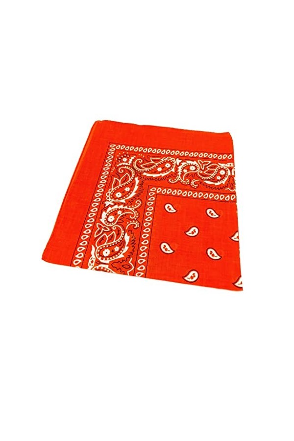 Bandana en coton à motif cachemire pour moto, unisexe, rose, taille unique