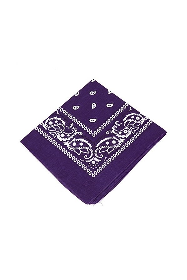 Bandana en coton à motif cachemire pour moto, unisexe, rose, taille unique