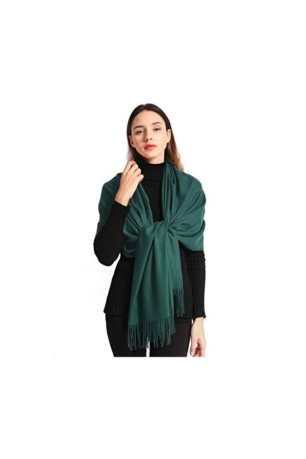 EASE LEAP Cachemire Hiver Chaud Écharpe Pour Femmes Pashmina Châle Wrap Hommes Grandes Écharpes Douces pour Autum et Hiver 20