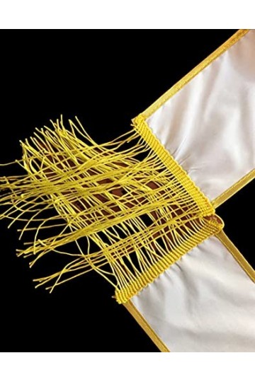 IZDEGUIZ Echarpe de Miss et Mister à Personnaliser. Choisissez votre texte, nous vous limprimons.