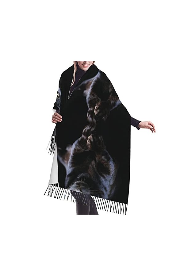 DHWUIASF Foulard à pompons en forme de loup gris pour femme - Longue écharpe douce et chaude, Touches de piano avec notes de 