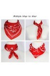 Foulard Bandana En Soie Paisley Pour Hommes Femmes Foulards Chapeaux Carré Rouge Écharpe Mode Accessoire De Cou De Cheveux, S