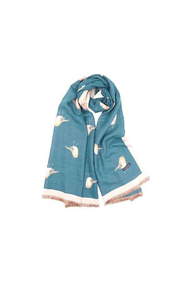 Claudia & Jason® Écharpe dhiver douce et chaude avec imprimé rouge-gorge pour femme Livré avec boîte cadeau, bleu sarcelle