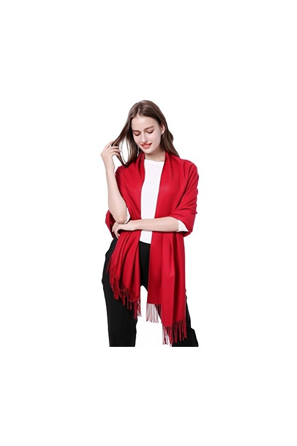 JAKY-Global Pashmina Écharpe ou Jeté de Cachemire pour Femme Homme Super Doux Chaud 198cm x 68cm comme écharpe pour homme ou 