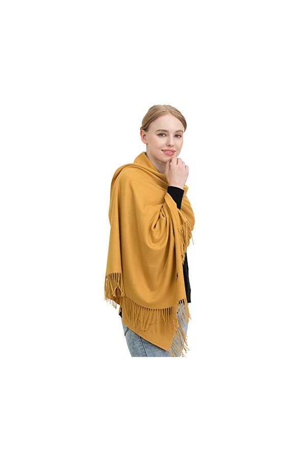 JAKY-Global Pashmina Écharpe ou Jeté de Cachemire pour Femme Homme Super Doux Chaud 198cm x 68cm comme écharpe pour homme ou 