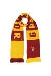 Terminal Harry Potter : Gryffindor Long Length Embroidered Scarf Écharpe 
