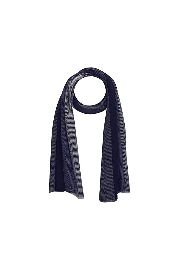 LES Poulettes - Echarpe Laine et Cachemire Rayures Dégradé de Bleus