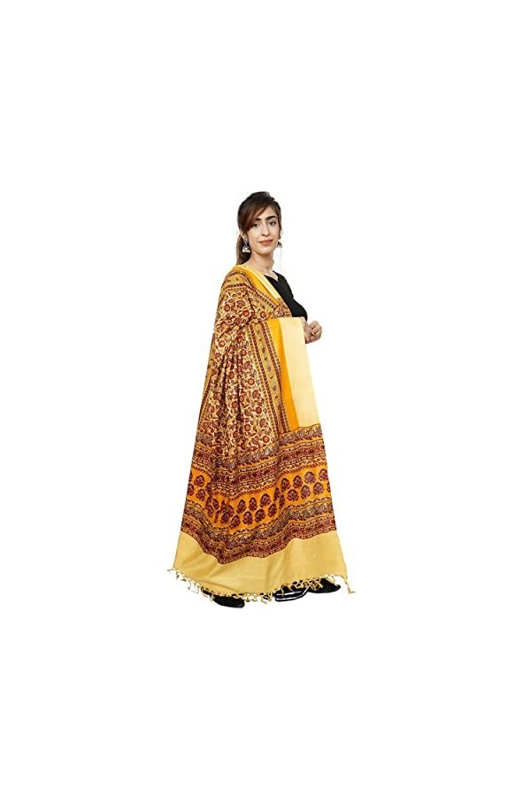 Handicraft Bazarr Écharpe dhiver chaude pour femme en coton doux et soie - 122 x 213 cm