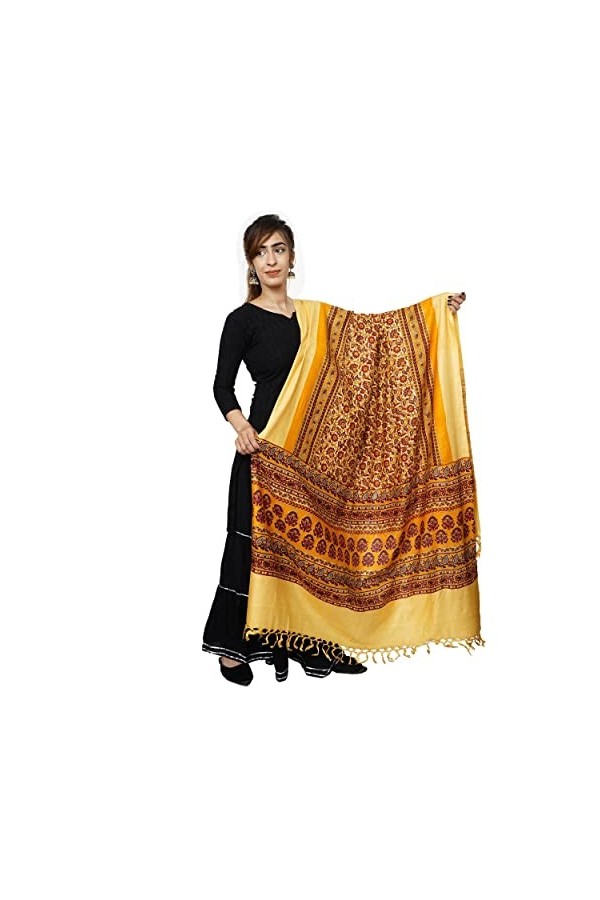 Handicraft Bazarr Écharpe dhiver chaude pour femme en coton doux et soie - 122 x 213 cm