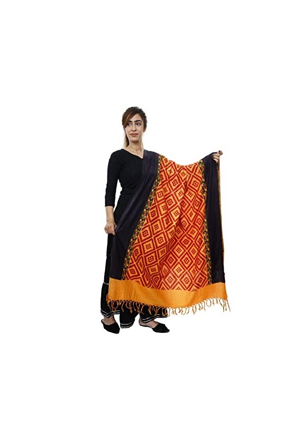 Handicraft Bazarr Écharpe traditionnelle en cachemire pour femme - Style vintage - 213 x 122 cm - Imprimé à la main - Motif f