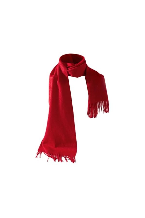 TZUFA Écharpe Pashmina de luxe unisexe pour femmes, couleur unie, chaude, épaisse et douce, longue, en cachemire, automne hiv