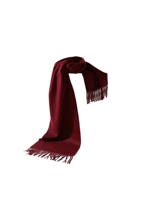 TZUFA Écharpe Pashmina de luxe unisexe pour femmes, couleur unie, chaude, épaisse et douce, longue, en cachemire, automne hiv