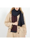 Écharpe Femmes Hiver Épais Chaud All-Match Long Printemps Automne Plaid Châle Dame Écharpes Couleur : Bleu Rouge， Taille : 2