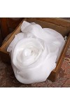 Écharpe Femme 100% Soie Écharpe Femme Blanc Solide Couleur Pure Soie Écharpe Dames Mousseline de Soie Châle en Soie Blanc 20