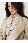Écharpe pour Femme, écharpe pour Femme Automne Soie Petite écharpe carrée pour Femme All-Match Thin French Mulberry Silk Scar