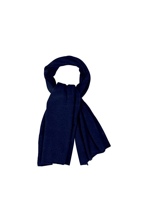 LES POULETTES - Echarpe Large 100% Cachemire 2 Fils - Gris clair