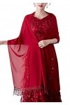 chuangminghangqi Étole Écharpe Châle Broderie Élégante Femme - Wrap Foulard Pashmina pour Soirée Cérémonies Fêtes Mariage Bri