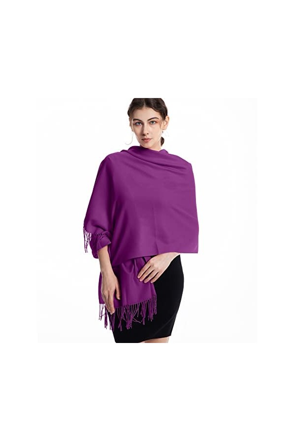 Loozykit Cachemire Grande Écharpe dHiver Femme 200 * 65 CM Pashmina Châle Wrap Chaud avec Frange Automne Elégant Etoles Cape