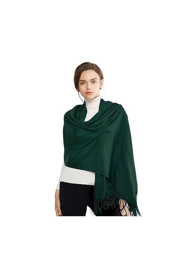 Écharpe Femme Hiver Chaud Écharpe Pour Femme Châle dHiver Femme Pashmina Châle Etole Grande Longues Écharpes