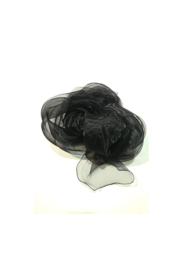 Generico ÉTOLE ORGANZA NOIR , Noir , UNICA 250cm x 50cm