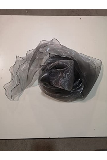 Generico ÉTOLE ORGANZA ARGENt , argent, UNICA 250cm x 50cm