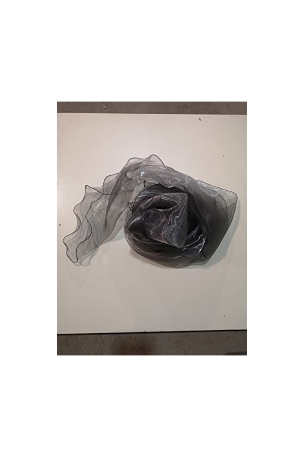 Generico ÉTOLE ORGANZA ARGENt , argent, UNICA 250cm x 50cm