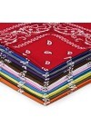 HBselect 12 PCS Bandeau de Cheveux,Fichu Mouchoir Unisexe,Echarpe de Cou,Décoration En Coton Rétro Style Multicolore Multifon