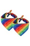 Amissz Lot de 2 bandanas arc-en-ciel - Idée cadeau - Bandana en coton Pride - Accessoire Pride - Parade Accessoire Bandana, A