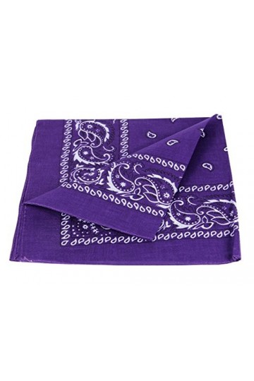 Alsino Bandana Bandeau pour homme et femme - 53 cm x 53 cm - 100 % coton, Paisley Violet foncé, taille unique