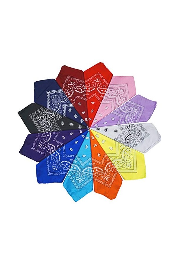 Dailyextreme 12PCS Bandanas Fichu Mouchoir Unisexe,Bandeau de Cheveux,Echarpe de Cou,Bandana Paisley 100% Coton Multicolore C