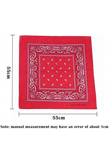 Dailyextreme 12PCS Bandanas Fichu Mouchoir Unisexe,Bandeau de Cheveux,Echarpe de Cou,Bandana Paisley 100% Coton Multicolore C