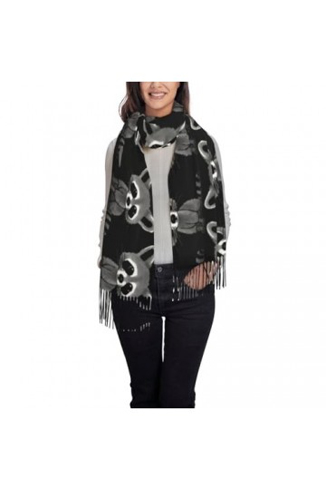 BUULOO Écharpe pour femme avec motif de raton laveur, imprimé imitation cachemire, écharpe chaude, confortable, douce avec fr
