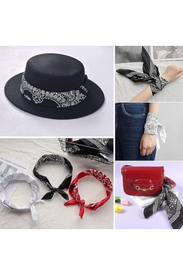 6 Pièces Bandanas Mouchoir Avec Motif Paisley, Bandanas Fichu Foulard Carré, Bandana Classique Bandeau Foulard Unisex 3 Coule